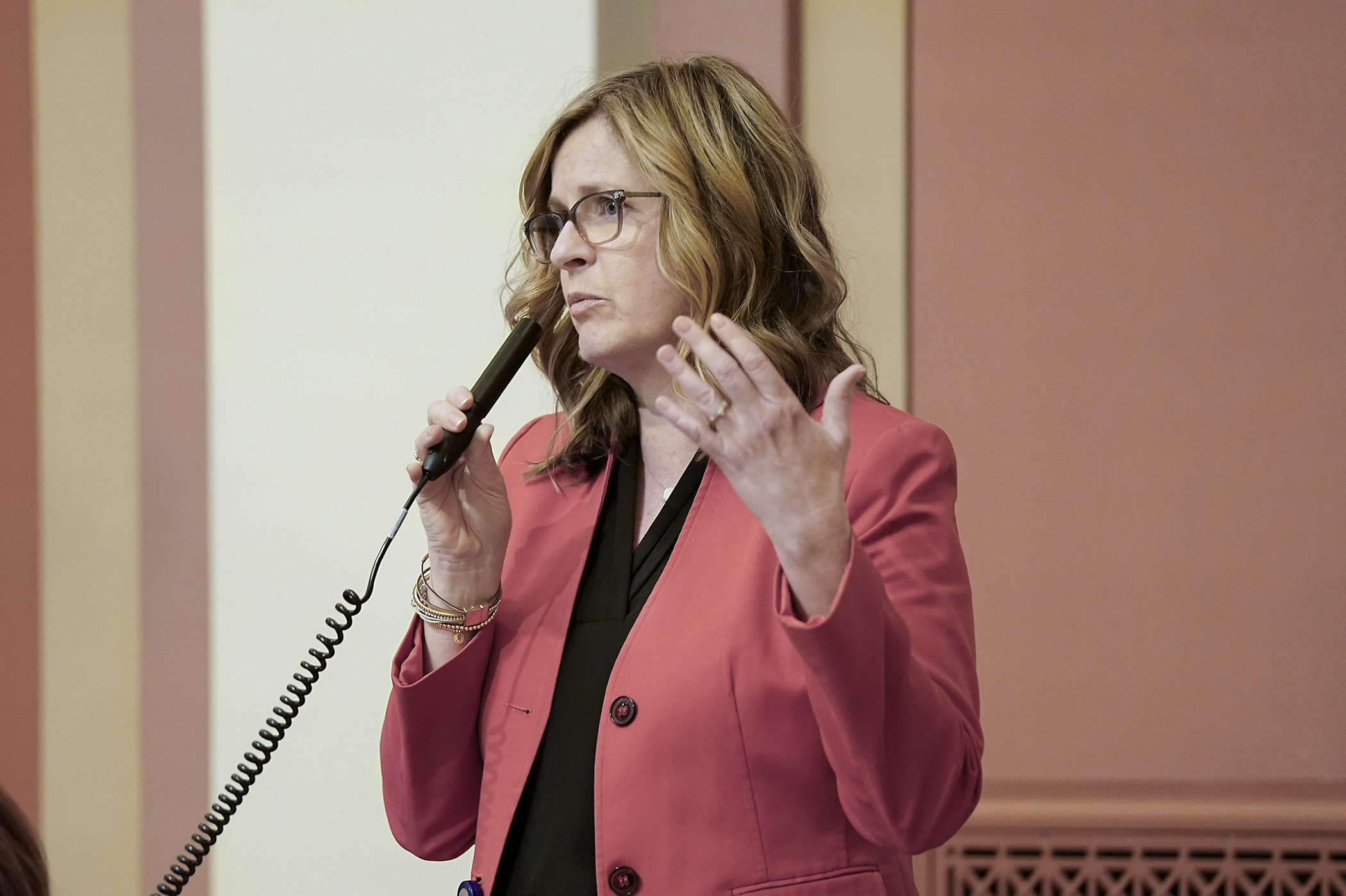 House Public Safety Finance and Policy Committee Co-chair Rep. Kelly Moller speaks to the conference committee report to the omnibus judiciary, public safety and corrections policy and finance bill during a May 18 floor session. (Photo by Michele Jokinen)